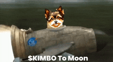 Kimbo Doge Coin GIF - Kimbo Doge Coin GIFs