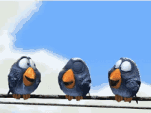 Birds Animated GIF - Birds Animated GIFs