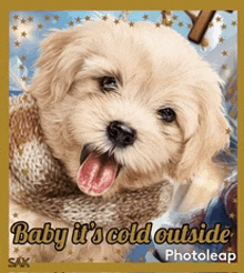 Baby Its Cold Outside Baby It'S Cold Outside GIF - Baby Its Cold Outside Baby It'S Cold Outside Its Cold GIFs
