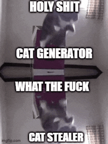 a cat is standing on top of a box with the words holy shit cat generator what the fuck cat stealer .