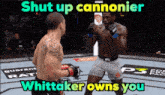Shut Up Cannonier Whittaker Owns You GIF