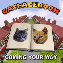 Cats Facebook Facebook GIF