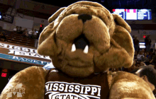 Mississippi State Bulldogs College Football GIF