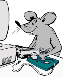 mouse pay back rat busy working