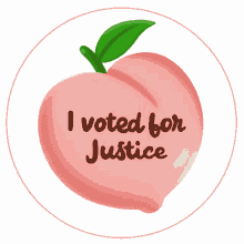 i voted for justice justice no justice no peace i voted vote