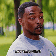 Thats How It Is Falcon GIF - Thats How It Is Falcon Anthony Mackie GIFs