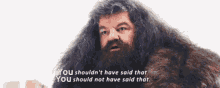 Hagrid You Shouldnt Have Said That GIF - Hagrid You Shouldnt Have Said That Spiderfelix06 GIFs