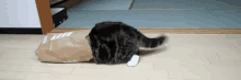 Se Cacher GIF - Cat Hide Paperbag GIFs