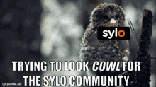 Syloio GIF - Syloio Sylo GIFs