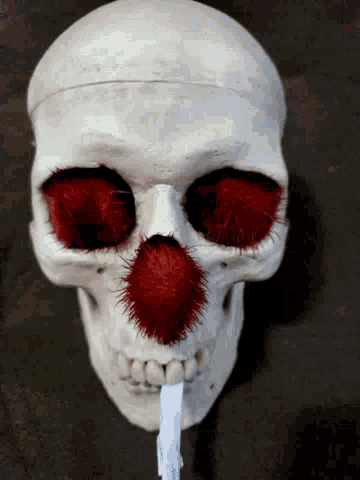 skeleton smoking weed gif