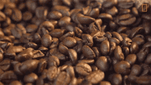 Beans Coffee GIF - Beans Coffee GIFs