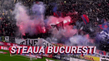 Steaua Bucharest Fcsb GIF