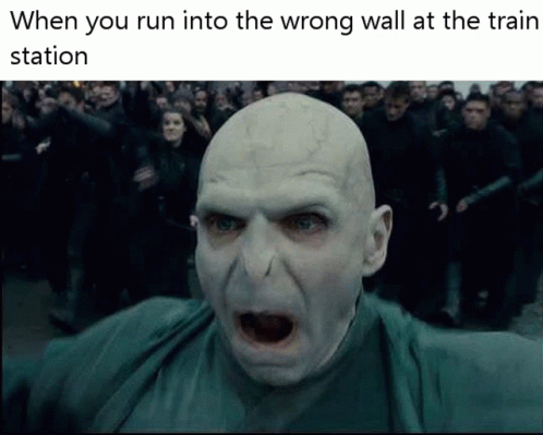 Voldemort Harry Potter GIF - Voldemort Harry Potter Wall - Discover ...