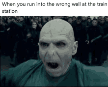 Voldemort Harry Potter GIF - Voldemort Harry Potter Wall GIFs