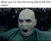 lord voldemort Memes & GIFs - Imgflip