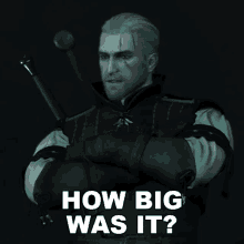 How Big Was It Geralt Of Rivia GIF - How Big Was It Geralt Of Rivia The Witcher GIFs