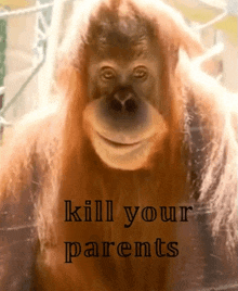 Kyp Kill GIF - Kyp Kill Parents GIFs