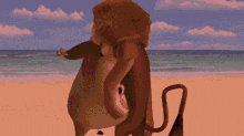 a couple of animals standing on a beach with the letter s in the corner