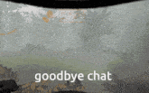 Goodbye Chat Auto Pilot GIF