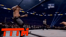 a wrestling match is being shown on tv with the letters tim on the bottom