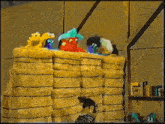 two cartoon characters are sitting on hay bales and one of them has a surprised look on his face