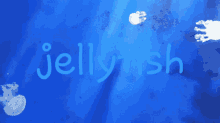 Jellyfish Blue GIF - Jellyfish Blue Swimming GIFs