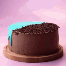 a chocolate cake with blue frosting and chocolate sprinkles on a wooden plate