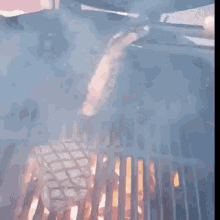 Steak Grilling GIF - Steak Grilling Bbq GIFs
