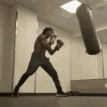 Boxing The Black Mastadonte GIF