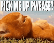 Cat Pick Me Up GIF - Cat Pick Me Up Googly Eyes GIFs