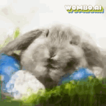 Bunny Rabbit GIF - Bunny Rabbit Cute GIFs
