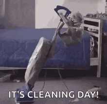 Cat Cleaning GIF - Cat Cleaning GIFs