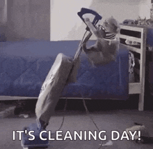 cat-cleaning.gif