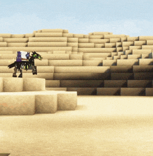 a purple and green minecraft character is standing in the sand near a mountain