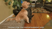 a dog and a cat are playing in a living room with the words thanks for the entertainment kids below them .