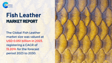 Fish Leather Market Report 2024 GIF