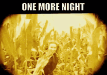 One More Night Amber GIF - One More Night Amber Corn Fields GIFs