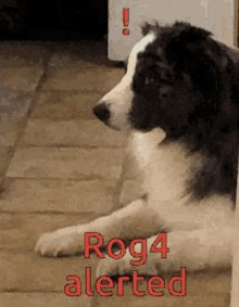 Rog Rog1 GIF - Rog Rog1 Rog2 GIFs