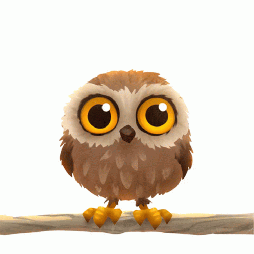 Cute Animated Owl GIFs | Tenor