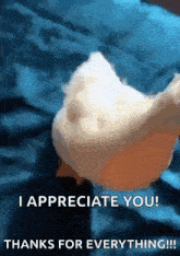 a person is holding a piece of food and says " i appreciate you thanks for everything !!! "