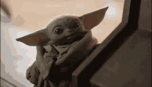 a baby yoda from star wars is looking at the camera .