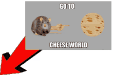 go to cheese world fuck you cheese time cheese rat go to cheese world fuck you cheese time cheese rat