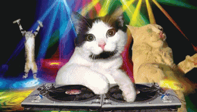Clinomi Sad Cat Dance GIF - Clinomi Sad Cat Dance - Discover & Share GIFs