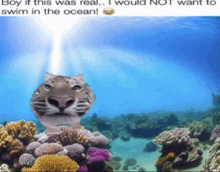 a picture of a tiger swimming in the ocean with the caption " boy if this was real i would not want to swim in the ocean "