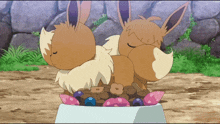 two eevees laying on top of a bowl of berries