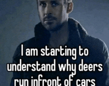 a picture of a man with a caption that says i am starting to understand why deers run in front of cars