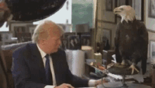 Trump Eagle GIF - Trump Eagle Bite GIFs
