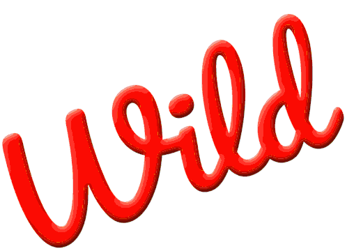 Excitement Wild Sticker - Excitement Wild Colorful Stickers