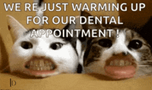 Dentalimplants Implantdentistry GIF - Dentalimplants Implantdentistry Toothreplacement GIFs