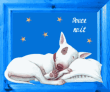 good night sleeping dog douce nuit sweet sleep